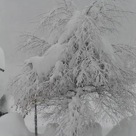 アパートホテル Alta Badia