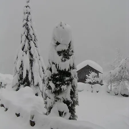 Aparthotel Alta Badia 3*